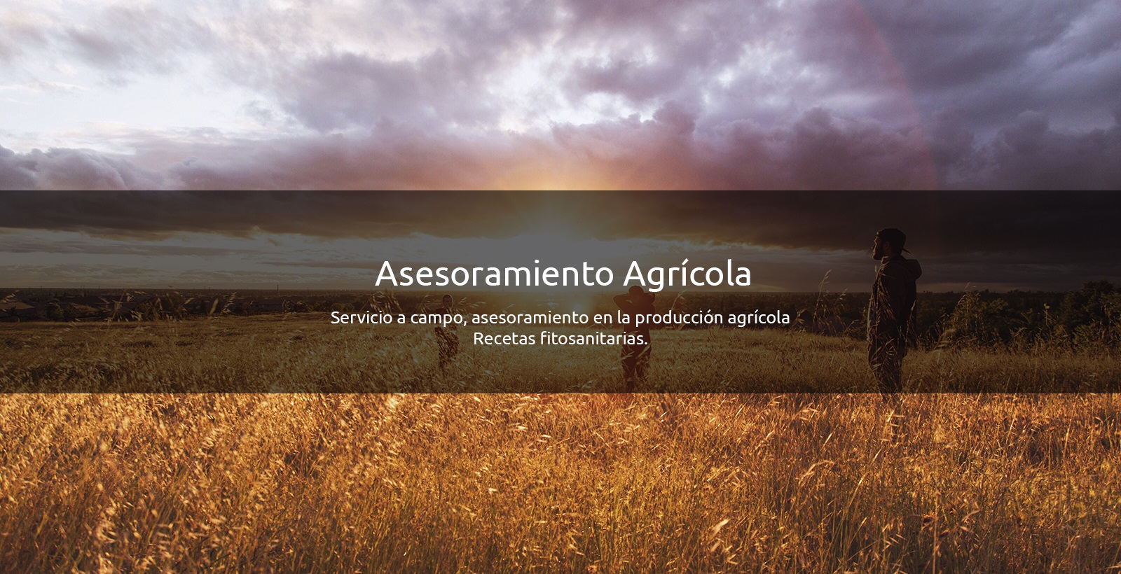 Asesoramiento agrícola