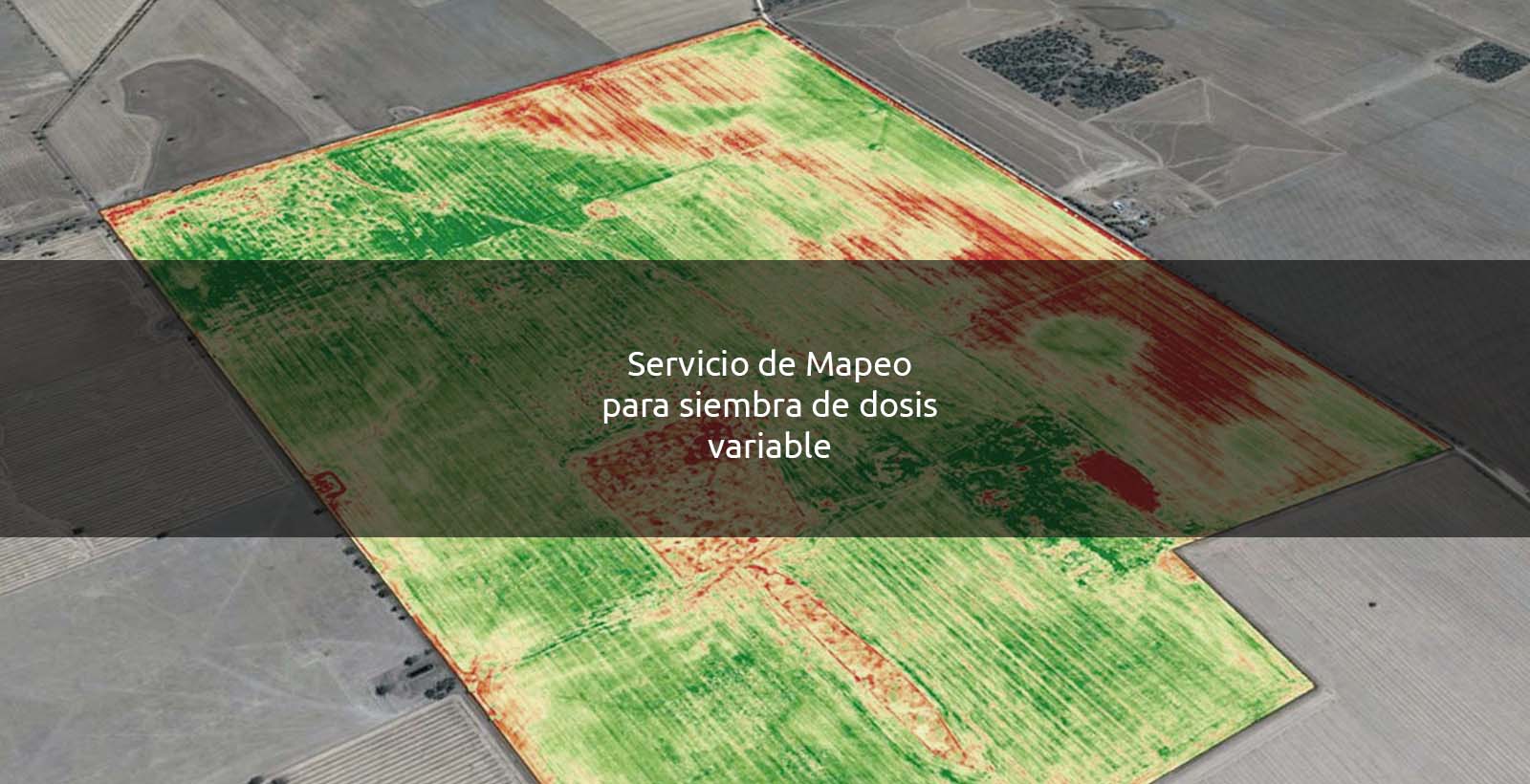 Siembra Variable